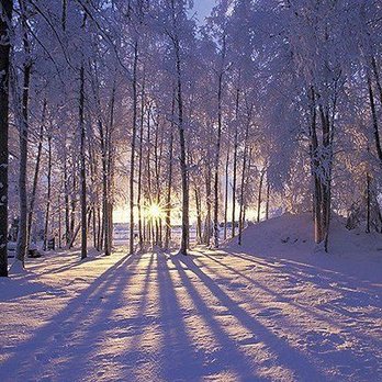 Jeff Smith All Seasons Tree - Tree Services Near Me - Westwood, New Jersey Jeff Smith All Seasons Tree - Tree Services Near Me - Westwood, New Jersey
