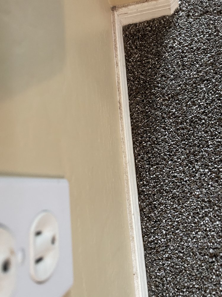 STARFIRE HOME AND OFFICE CLEANING Updated September 2024 23 Photos & 40 Reviews Prescott