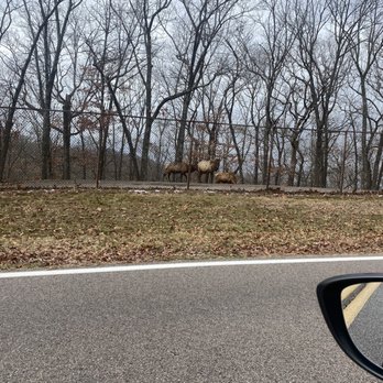Lone Elk Park - Parks Near Me - Valley Park, Missouri Lone Elk Park - Parks Near Me - Valley Park, Missouri
