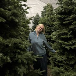 Mr. Jingle's Christmas Trees - AML