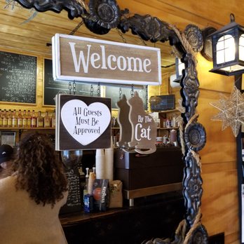 Cute Cat Cafe - Breakfast & Brunch Near Me - Ridgewood, New York Cute Cat Cafe - Breakfast & Brunch Near Me - Ridgewood, New York