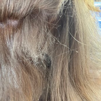 MK Beauty Salon - missing chunks of hair - Eyebrow Services Near Me - Hallandale Beach, Florida MK Beauty Salon - missing chunks of hair - Eyebrow Services Near Me - Hallandale Beach, Florida