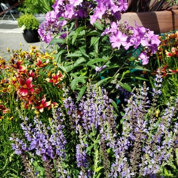 Swansons Nursery - Nurseries & Gardening Near Me - Seattle, Washington