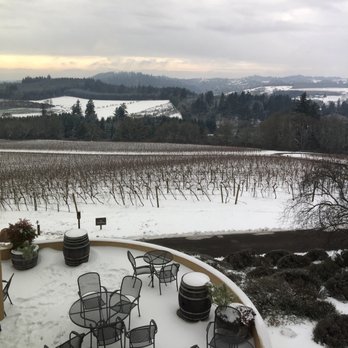 Willamette Valley Vineyards - View from the club room towards the Bernau Block - Wineries Near Me - Turner, Oregon Willamette Valley Vineyards - View from the club room towards the Bernau Block - Wineries Near Me - Turner, Oregon