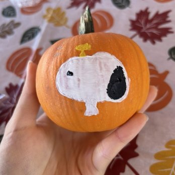 Commerce Pumpkin Patch by Taghavi Farms - Instagram/YouTube/TikTok/Yelp/Google Maps: @AC9MOO - Pumpkin Patches Near Me - Commerce, California