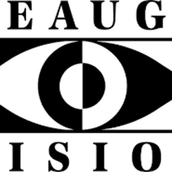 Geauga Vision of Chagrin