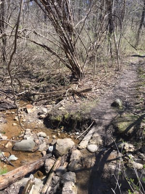 Bird Hills Nature Area by null