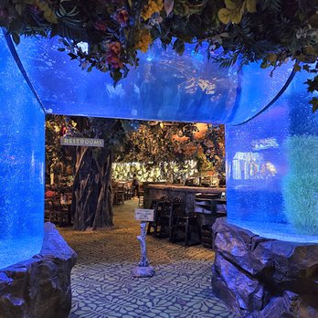 Rainforest Cafe - "Do you have a reservation?" - American Near Me - Gurnee, Illinois Rainforest Cafe - "Do you have a reservation?" - American Near Me - Gurnee, Illinois