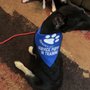 Photo of Dogmatics
