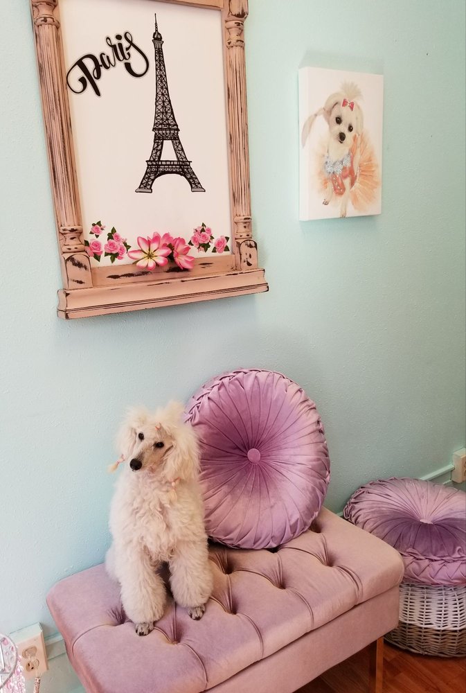 DOGZ DOWNTOWN Updated March 2024 115 W Maple St, Centralia