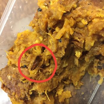 Mallu Cafe & Catering - Roach in my food - Indian Near Me - Philadelphia, Pennsylvania Mallu Cafe & Catering - Roach in my food - Indian Near Me - Philadelphia, Pennsylvania