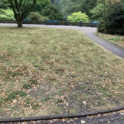 Hofgarten