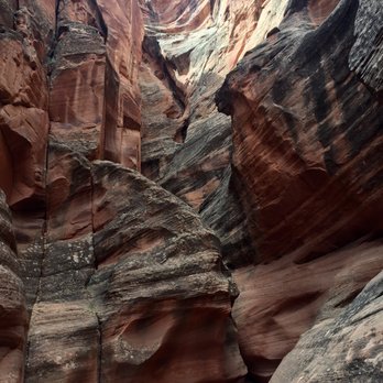 Taadidiin Tours - Gorgeous canyon! - Walking Tours Near Me - Page, Arizona Taadidiin Tours - Gorgeous canyon! - Walking Tours Near Me - Page, Arizona