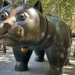 El Gat de Botero