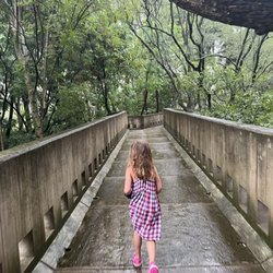Bosque los Colomos