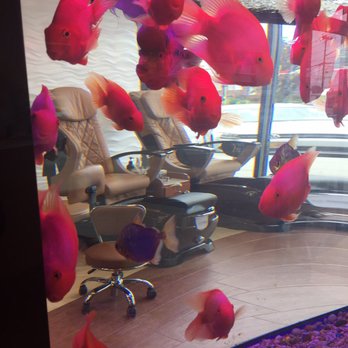 Fashion Nail - Fishies!!! - Nail Salons Near Me - Wantagh, New York Fashion Nail - Fishies!!! - Nail Salons Near Me - Wantagh, New York