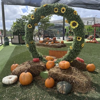 By Brothers - Fruits & Veggies Near Me - Miami, Florida By Brothers - Fruits & Veggies Near Me - Miami, Florida