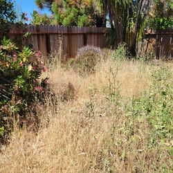 Jesse Lozano Garden Service