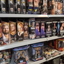 Every Wrestling Action Figure you can think of.