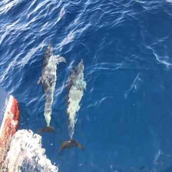 Capt Andy's - Boat Tours Near Me - Ele'ele, Hawaii Capt Andy's - Boat Tours Near Me - Ele'ele, Hawaii