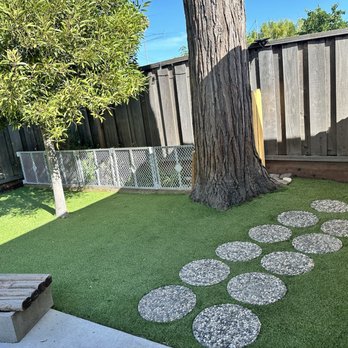Sunny Garden Daycare - Child Care & Day Care Near Me - Sunnyvale, California Sunny Garden Daycare - Child Care & Day Care Near Me - Sunnyvale, California