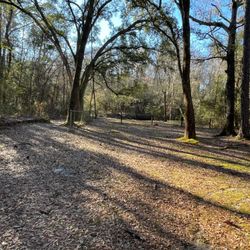 Lillian Ave Playground Park - Trail Into The Woods