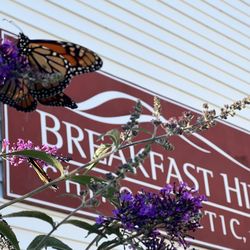 Breakfast Hill Chiropractic - My favorite place for health