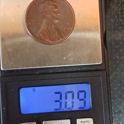 The Numismatic Gallery