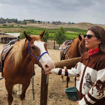 Wine Country Trails by Horseback - Feeding the horses after the ride. They really enjoy their cookies. - Tours Near Me - Temecula, California