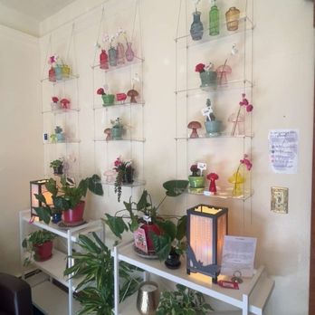 Ms Marji’s - Coffee & Tea Near Me - Denver, Colorado