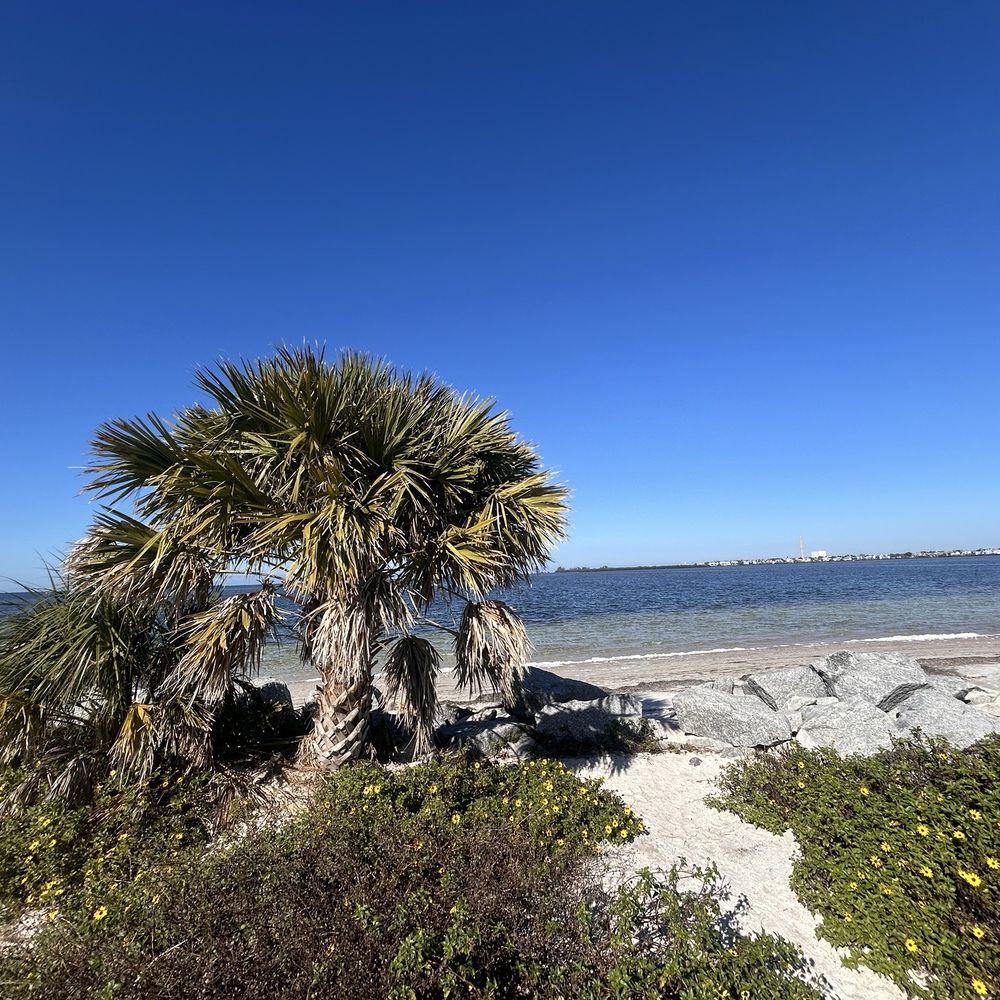 Fred Howard Park - Parks Near Me - Tarpon Springs, Florida Fred Howard Park - Parks Near Me - Tarpon Springs, Florida