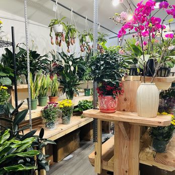 The Bloomery - Florists Near Me - New York, New York The Bloomery - Florists Near Me - New York, New York