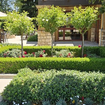 Harney Lane Vineyards - Beautifully manicured grounds - Wineries Near Me - Lodi, California