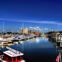 First Bite Fishing Charters