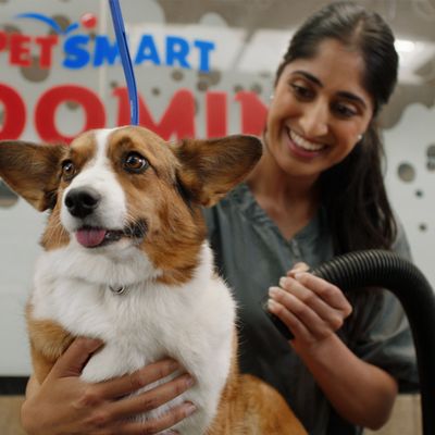 PetSmart by null