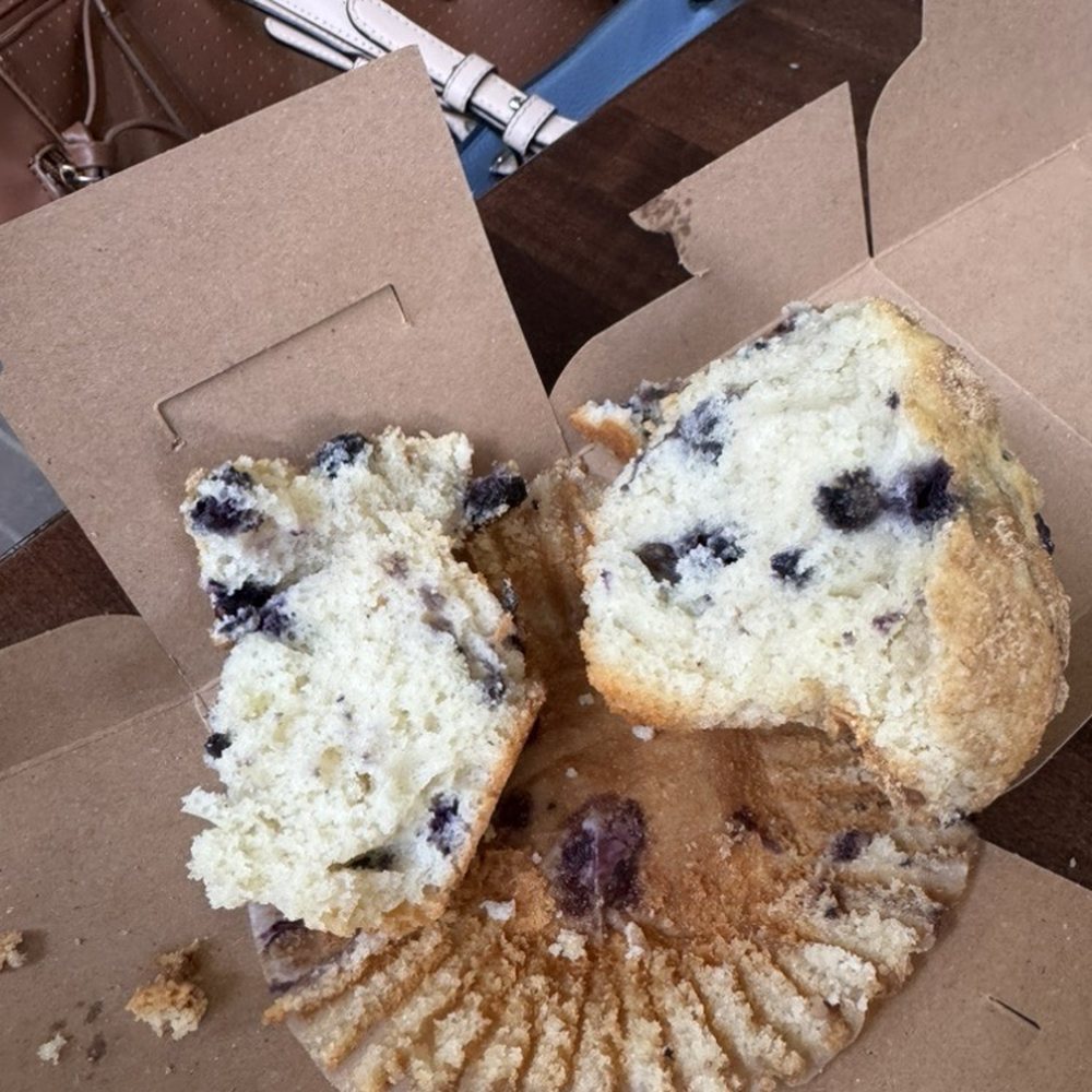 Button Rock Bakery Lafayette - Blueberry muffin - Desserts Near Me - Lafayette, Colorado Button Rock Bakery Lafayette - Blueberry muffin - Desserts Near Me - Lafayette, Colorado