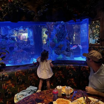 Rainforest Cafe - American Near Me - Galveston, Texas