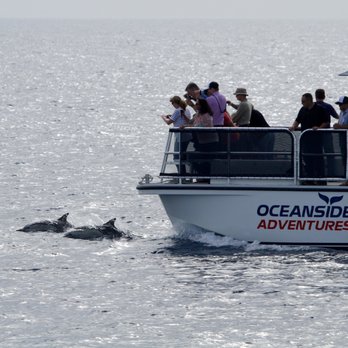 Oceanside Adventures - Boat Charters Near Me - Oceanside, California Oceanside Adventures - Boat Charters Near Me - Oceanside, California