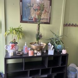Pure Life Movement Studio