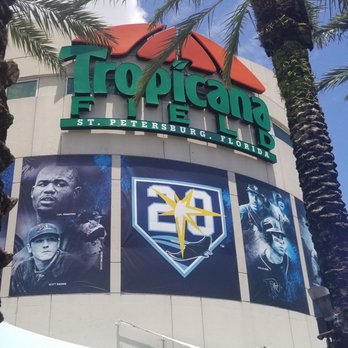 Tampa Bay Rays - Professional Sports Teams Near Me - St. Petersburg, Florida Tampa Bay Rays - Professional Sports Teams Near Me - St. Petersburg, Florida