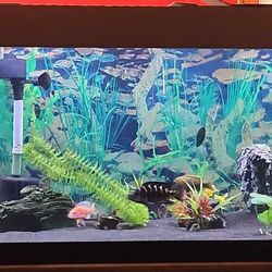 Coral Reef