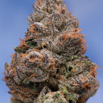 Lemonnade - Cannabis Dispensaries Near Me - Denver, Colorado Lemonnade - Cannabis Dispensaries Near Me - Denver, Colorado