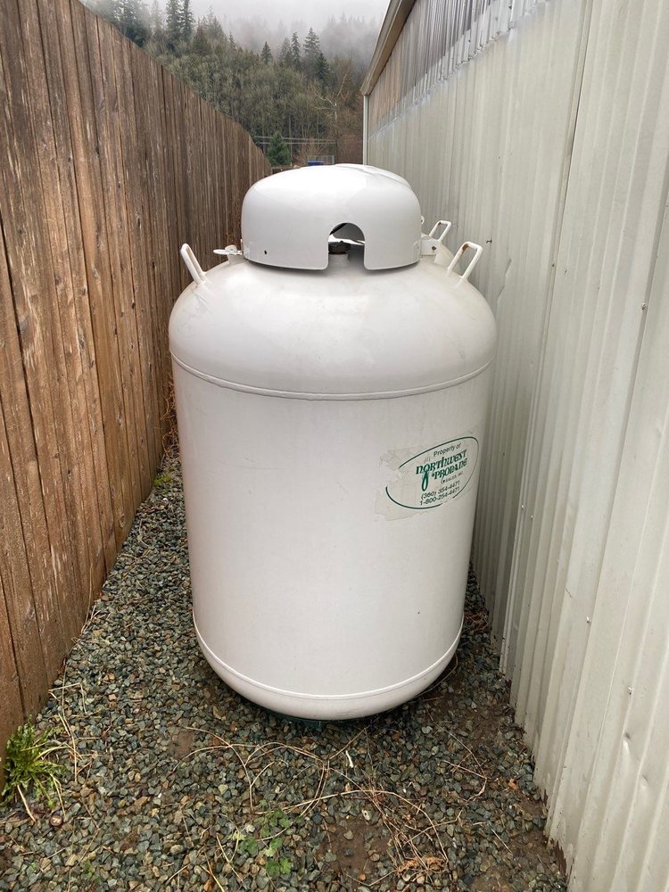 A QUICK PRESSURE WASHING Updated August 2024 21 Photos Sedro