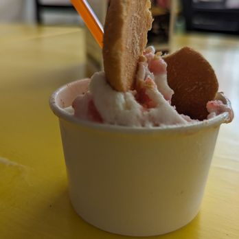 Pussycat Gelato - Gelato Near Me - Bisbee, Arizona