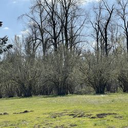 Willamette Mission State Park