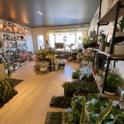 Elora Street Flowers - January 2021
Floral studio
Elora st flowers