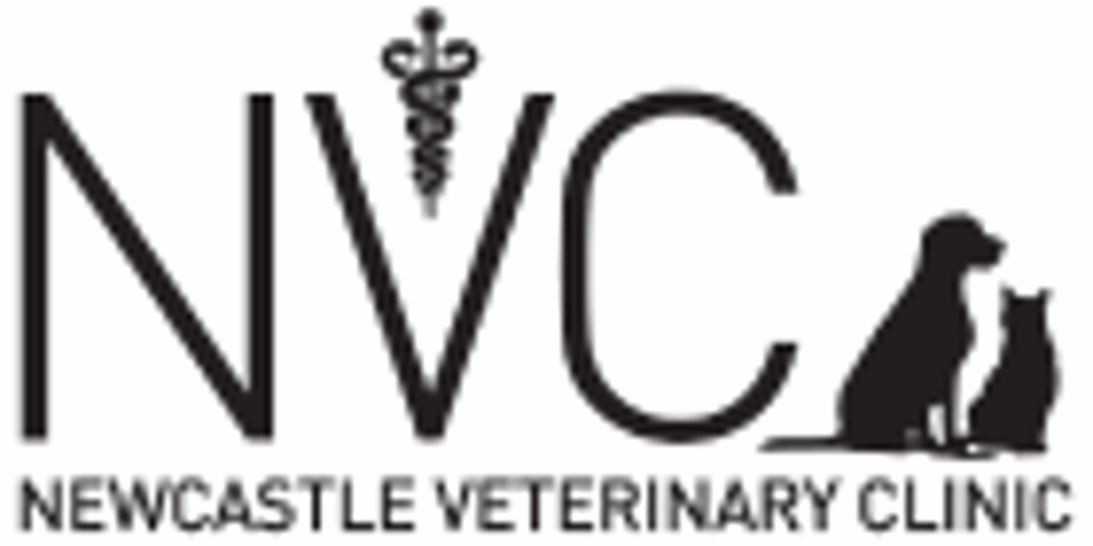 NEWCASTLE VETERINARY CLINIC Updated June 2024 108 King Avenue W, Newcastle, Ontario