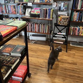 Heartleaf Books - Penny the cat - A gray cat is walking on a wooden floor in a bookstore, surrounded by shelves filled with books and a black chair with a magazine rack. - Bookstores Near Me - Providence, Rhode Island