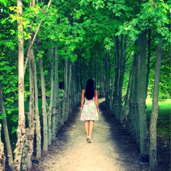 Grounds For Sculpture - Make sure to take every path: you never know what it will lead to... - Museums Near Me - Hamilton, New Jersey
