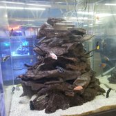 The Ocean Floor 89 Photos 97 Reviews Pet Stores 2347 W